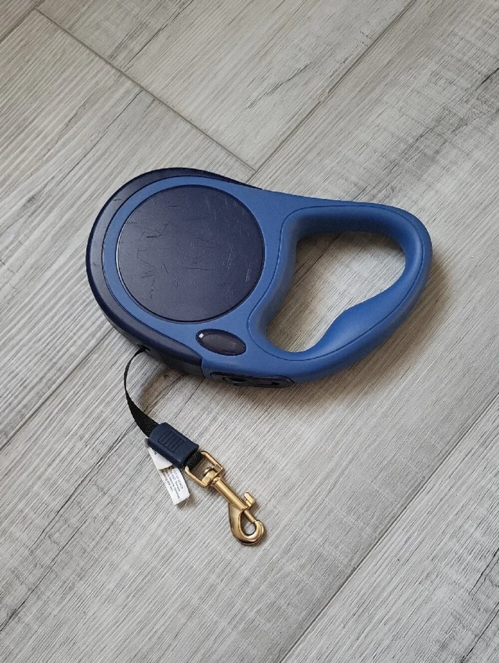 Blue Retractable Dog Leash with Gold Clip